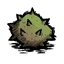 Birchnut