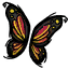 Butterfly_Wings
