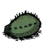 Cactus_Flesh