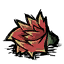 Cactus_Flower
