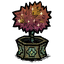 Cawnival_Sapling