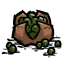 Clustered_Seeds