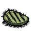 Cooked_Cactus_Flesh