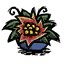 Flower_Salad