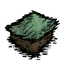 Forest_Turf