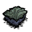Fungal_Turf_Green