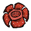 Glommer's_Flower