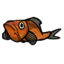 Golden_Koi
