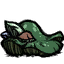 Green_Funcap