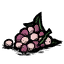 Juicy_Berries