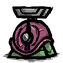 Snail_Scale