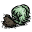 Stone_Fruit_Bush