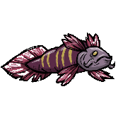 Sweetish_Fish