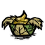 Tillweed_Salve